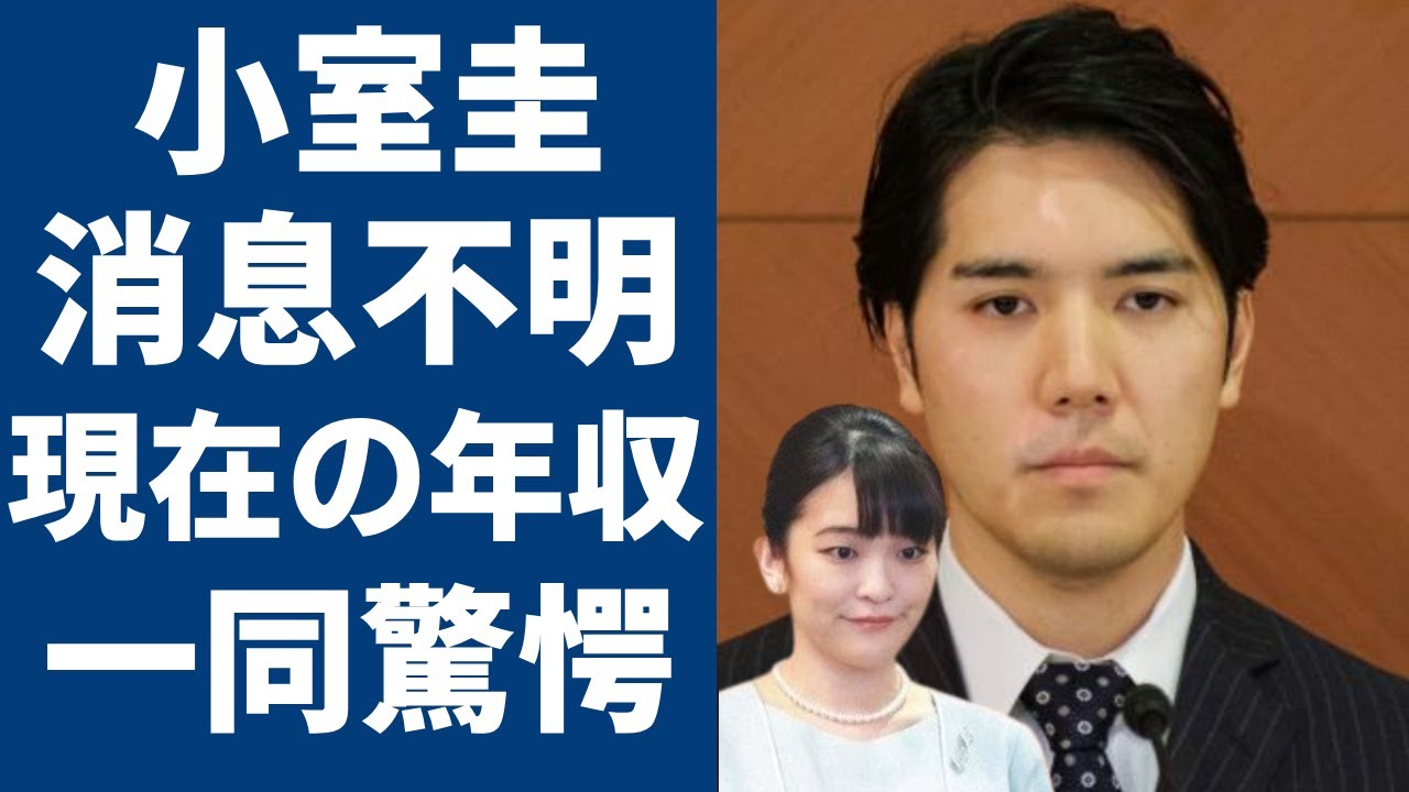 小室圭の「お前らが努力しなかった10年で…」の発言で再熱！？海外で消息不明になっていた夫婦の現在に言葉を失う...日本中から非難を浴びた彼の現在の職業と年収...突然の行動に驚きを隠さない...