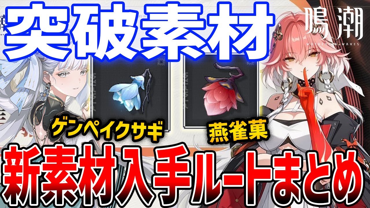 【鳴潮】ver1.1新素材「ゲンペイクサギ＆燕雀菓（えんじゃくか）」の効率的な入手ルートまとめ、今汐＆長離の突破素材【Wuthering Waves】#鳴潮 #プロジェクトWAVE