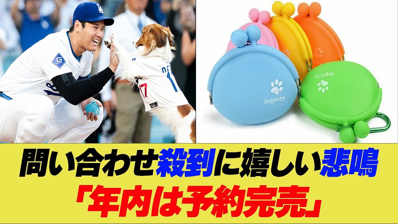 愛犬デコピンのおやつ入れ問い合わせ殺到で「年内は予約完売」【反応集】【2ch 5ch】【野球反応集】【なんJ なんG野球反応】