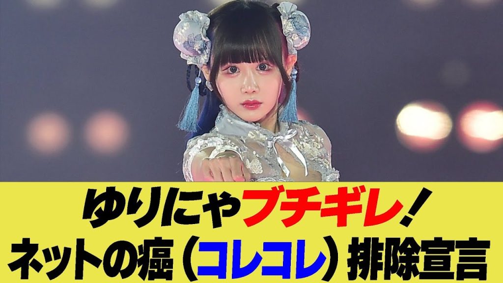 ゆりにゃブチギレ!ネットの癌(コレコレ)排除宣言【反応集】【2ch 5ch】【まとめ】