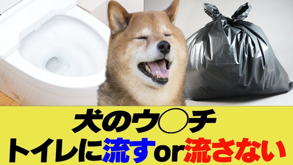 「犬のウ◯チ」はトイレに流すor流さない あなたはどっち？【反応集】【2ch 5ch】【まとめ】