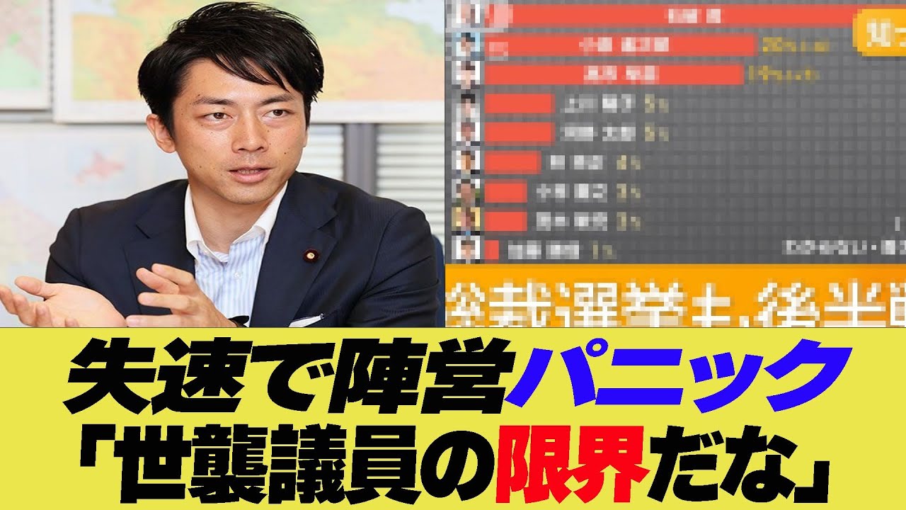 進次郎失速で陣営パニック　世襲議員の限界だな【反応集】【2ch 5ch】【まとめ】