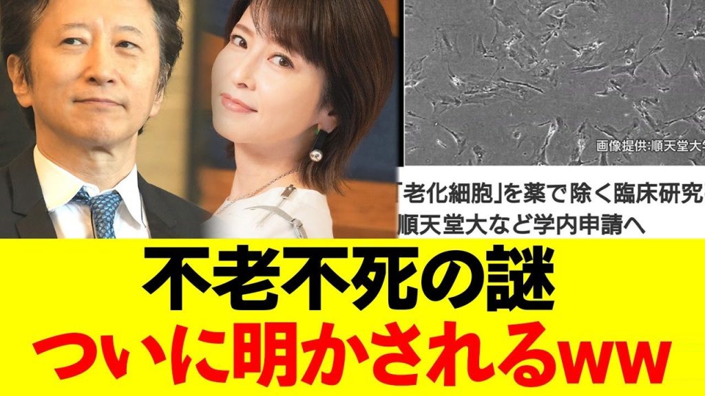 【朗報】ついに荒木飛呂彦(64)と森高千里(55)の不老不死の謎が解かれるwww