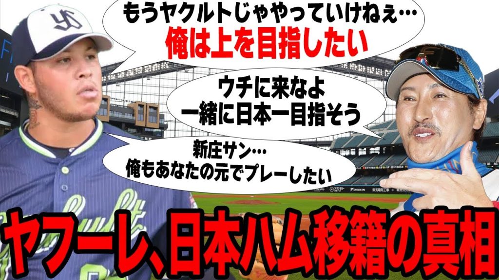 ヤフーレの日本ハム移籍が決定的に…ヤクルトを退団した真相に驚愕…マダックスも達成した優良助っ人が新天地に北の大地を選んだ理由がヤバすぎた…【プロ野球】