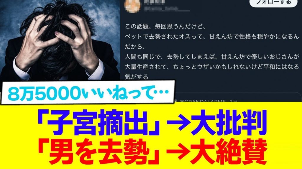 【悲報】子宮摘出は大批判されるのに男を去勢は大絶賛されてしまう…