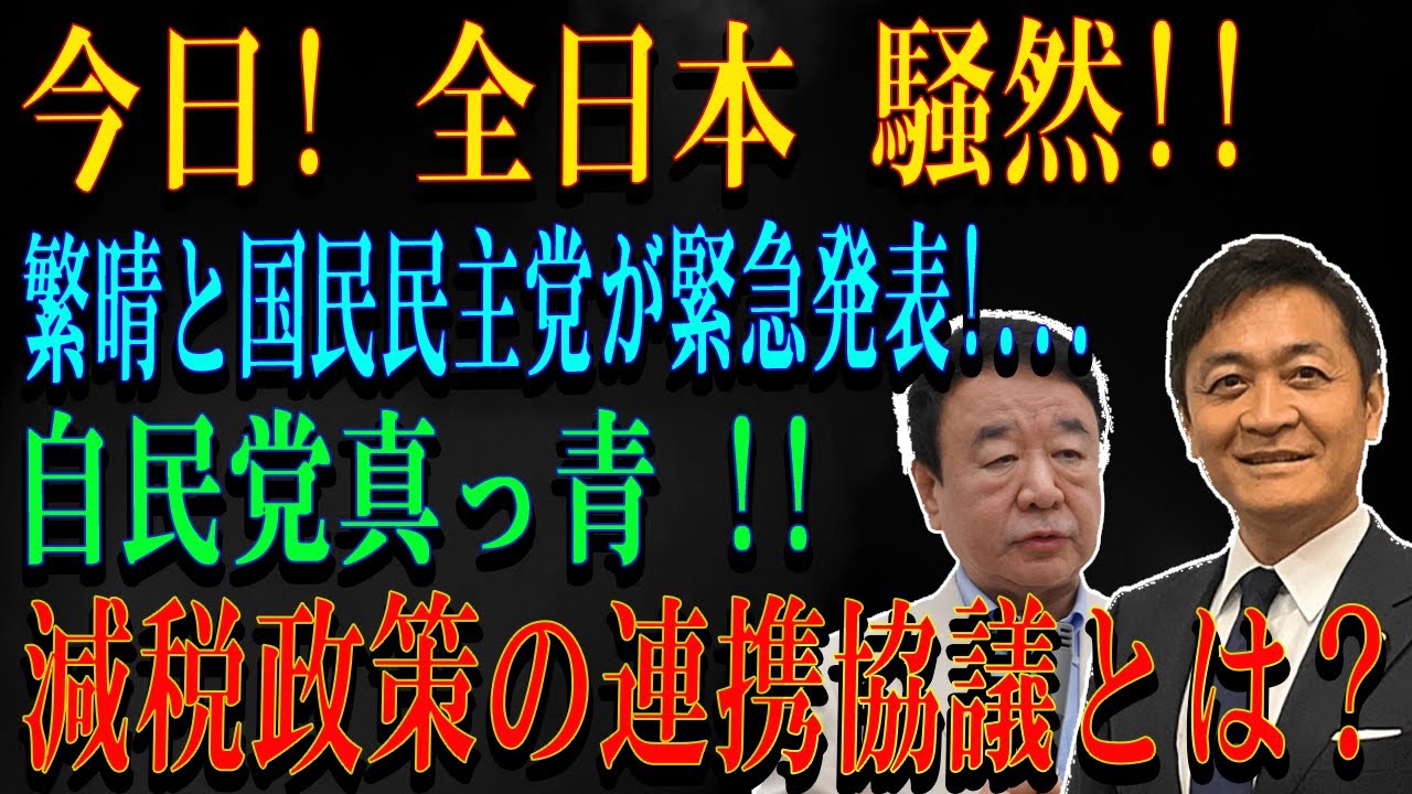 今日! 全日本 騒然!!繁晴と国民民主党が緊急発表!...自民党真っ青 !!減税政策の連携協議とは？