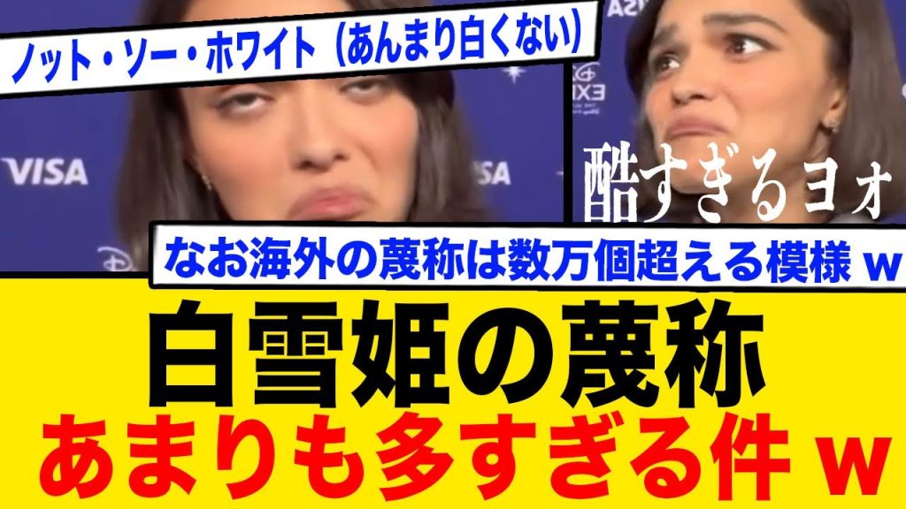 白雪姫蔑称まとめ（海外版）あまりにも多すぎる件w【スノーリライト】