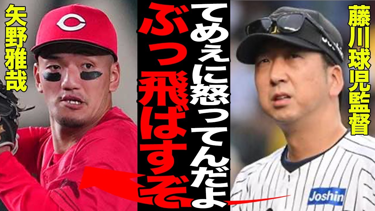藤川球児監督を激怒させた犯人判明でヤバい…矢野雅哉がベンチから放ったとされる一言に驚愕…乱闘騒ぎの火種になりがちな”野次将軍”としての存在に言葉を失う…【プロ野球】