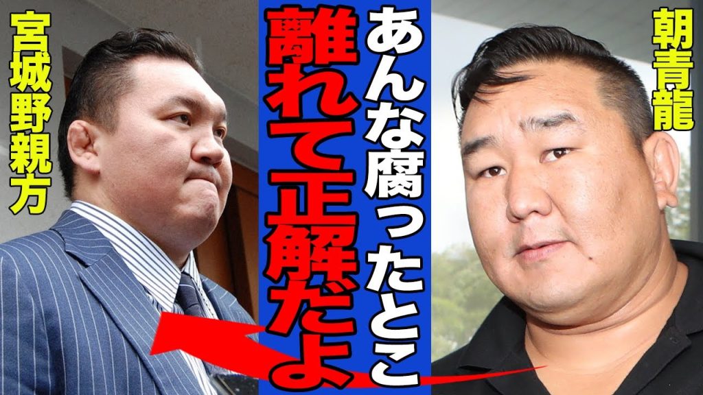 【衝撃】宮城野親方の退職届を相撲協会が受理…平成の横綱達が次々と角界を去っていく理由がヤバい…協会の腐り切った体質に言葉を失う…【相撲】