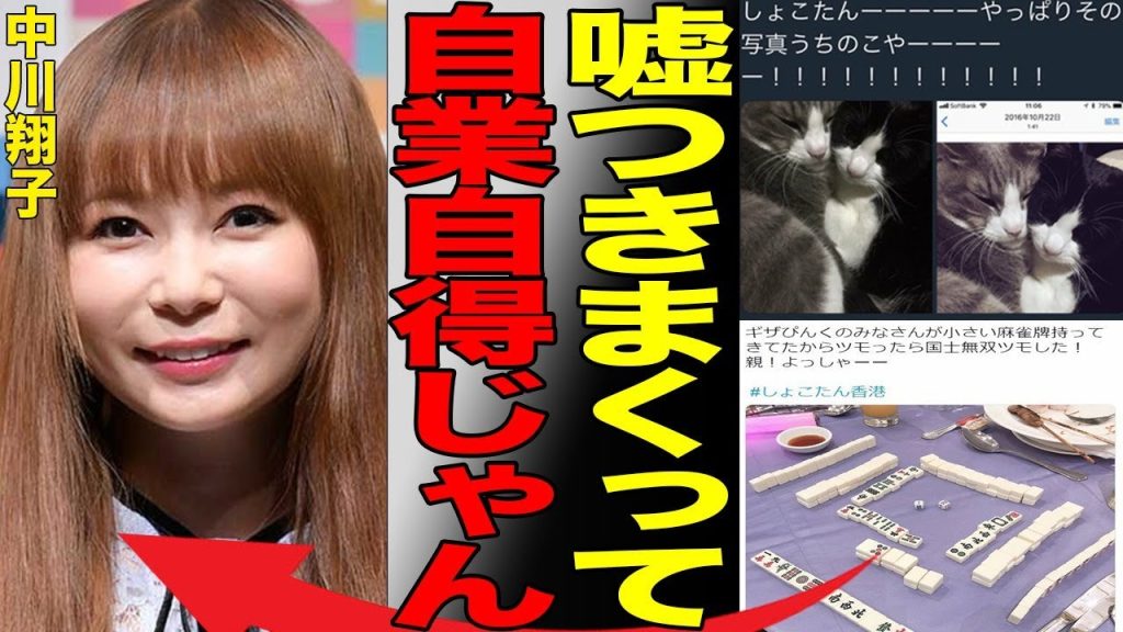 中川翔子が大炎上しているのには衝撃の事情が…オタク系タレントとして活動する彼女のこれまでの虚言癖や知ったかの数々がヤバすぎて批判が殺到…続々と判明した驚愕エピソードに言葉を失う…