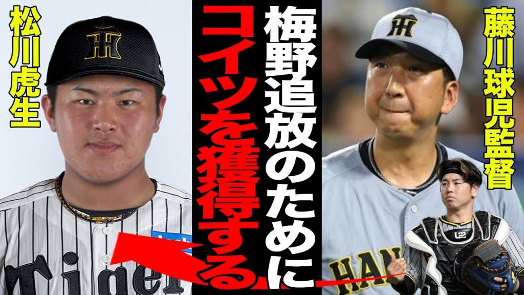 「聖域」梅野隆太郎、ついに追放へ…！藤川監督が水面下で進める松川虎生強奪計画。ロッテで“飼い殺し”状態の元ドラ１捕手が、虎の未来を担うキーマンに。【プロ野球】