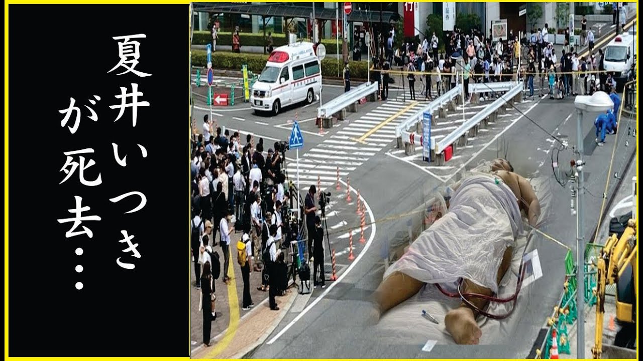 夏井いつきに君 の突然の“訃報”…夏井いつきに君 が“事故”で“死去”の真