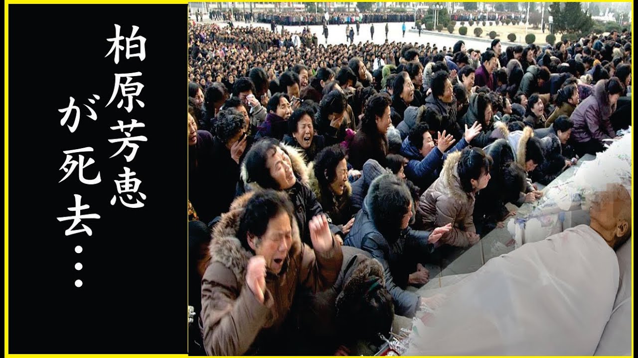 柏原芳恵が交通事故で重体に…柏原芳恵の死の真相...