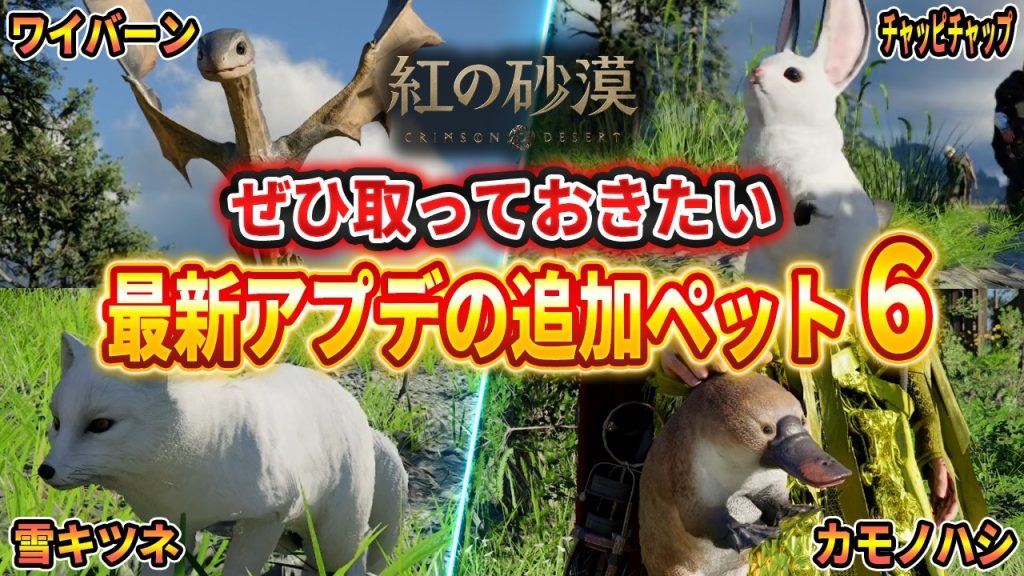 【紅の砂漠】新ペット6種「ワイバーンの子供・チャッピチャップ・雪キツネ」など入手方法紹介【Crimson Desert】