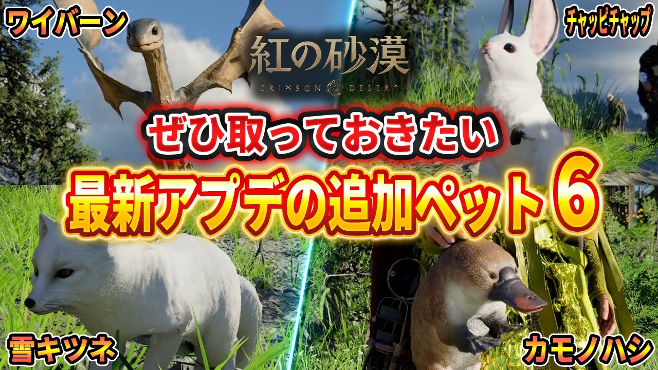 【紅の砂漠】新ペット6種「ワイバーンの子供・チャッピチャップ・雪キツネ」など入手方法紹介【Crimson Desert】